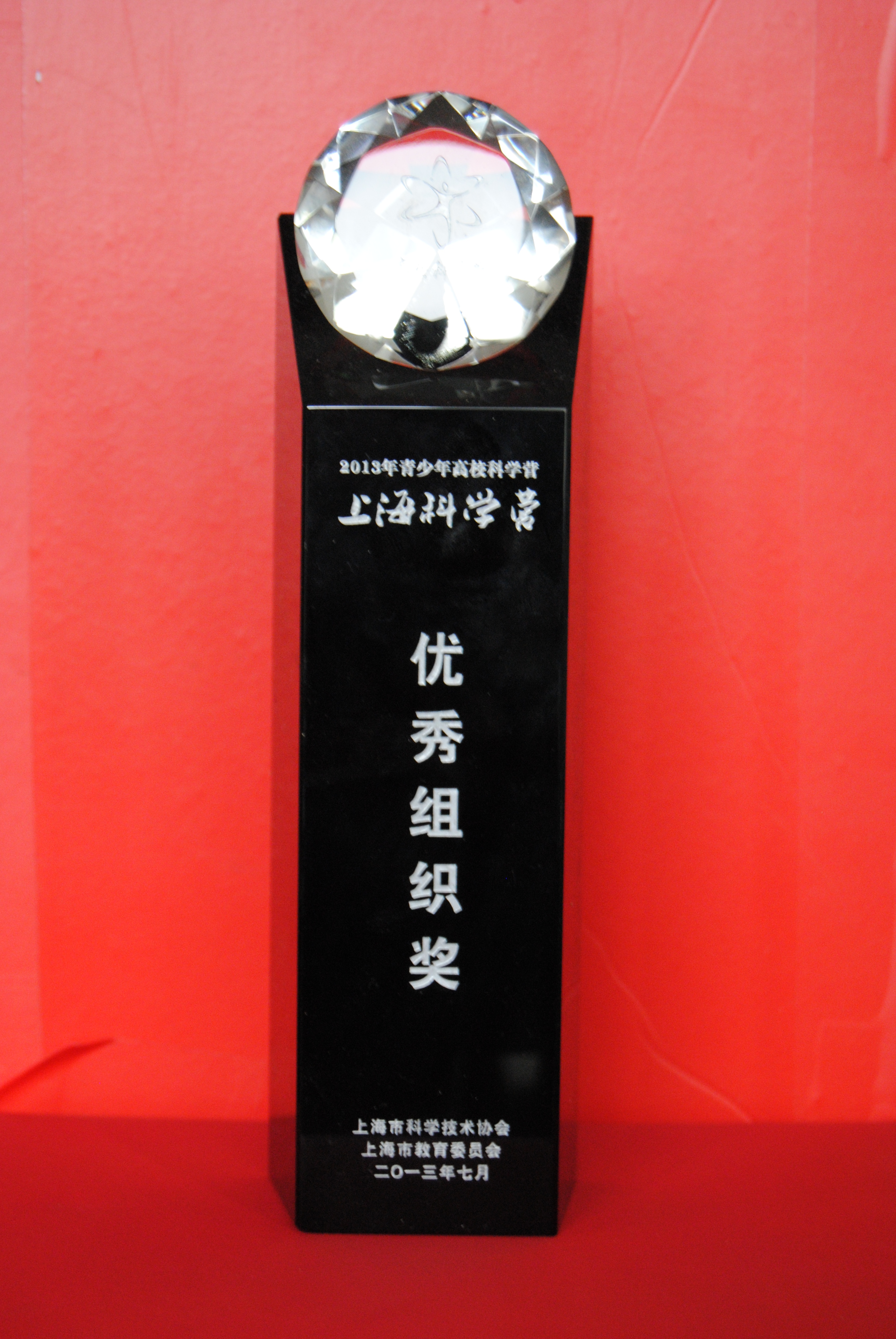 2013青少年高校科学营上海科学营优秀组织奖